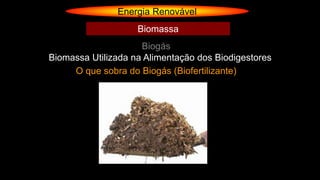Energia Renovável
Biogás
Biomassa
Biomassa Utilizada na Alimentação dos Biodigestores
O que sobra do Biogás (Biofertilizante)
 