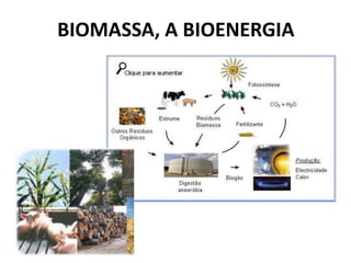 BIOMASSA, A BIOENERGIA
 