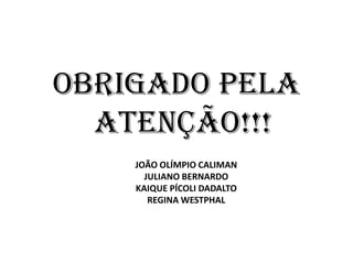 OBRIGADO PELA
ATENÇÃO!!!
JOÃO OLÍMPIO CALIMAN
JULIANO BERNARDO
KAIQUE PÍCOLI DADALTO
REGINA WESTPHAL
 