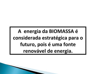 A  energia da BIOMASSA é considerada estratégica para o futuro, pois é uma fonte renovável de energia. 
