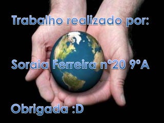 Desligue as luzes e aparelhos quando não estão a ser utilizados, use lâmpadas de baixo consumo.
