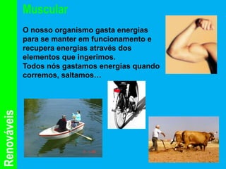 Muscular
             O nosso organismo gasta energias
             para se manter em funcionamento e
             recupera energias através dos
             elementos que ingerimos.
             Todos nós gastamos energias quando
             corremos, saltamos…
Renováveis
 