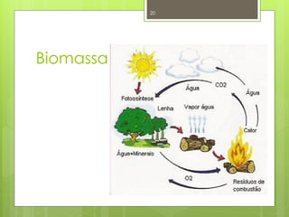 20




Biomassa
 