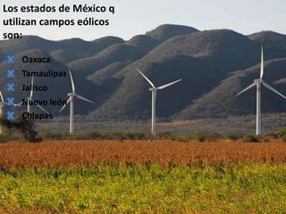 Los estados de México q
utilizan campos eólicos
son:
Jalisco
Nuevo león
Tamaulipas
Oaxaca
Chiapas
 