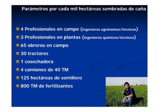 Parámetros por cada mil hectáreas sembradas de caña



4 Profesionales en campo (ingenieros agrónomos/técnicos)
3 Profesionales en plantas (ingenieros químicos/técnicos)
65 obreros en campo
30 tractores
1 cosechadora
4 camiones de 40 TM
125 hectáreas de semillero
800 TM de fertilizantes
 