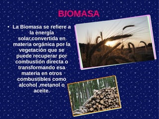BIOMASA
● La Biomasa se refiere a
la energía
solar,convertida en
materia orgánica por la
vegetación que se
puede recuperar por
combustión directa o
transformando esa
materia en otros
combustibles como
alcohol ,metanol o
aceite.
 