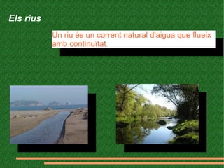 Els rius
Un riu és un corrent natural d'aigua que flueix
amb continuïtat.
Un riu és un corrent natural d'aigua que flueix
amb continuïtat.
 
