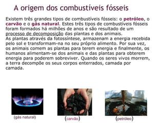     Existem três grandes tipos de combustíveis fósseis: o  petróleo , o  carvão  e o  gás natural . Estes três tipos de combustíveis fósseis foram formados há milhões de anos e são resultado de um  processo de decomposição  das plantas e dos animais. As plantas através da fotossíntese, armazenam a energia recebida pelo sol e transformam-na no seu próprio alimento. Por sua vez, os animais comem as plantas para terem energia e finalmente, os humanos alimentam-se dos animais e das plantas para obterem energia para poderem sobreviver. Quando os seres vivos morrem, a terra decompõe os seus corpos enterrados, camada por camada.  A origem dos combustíveis fósseis ( gás natural ) ( carvão ) ( petróleo ) 