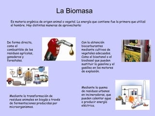 La Biomasa
Es materia orgánica de origen animal o vegetal. La energía que contiene fue la primera que utilizó
el hombre. H...