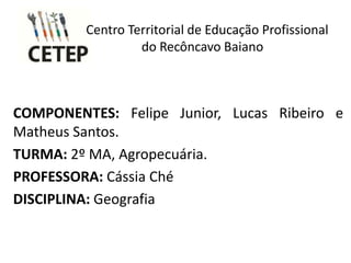 Centro Territorial de Educação Profissional
do Recôncavo Baiano
COMPONENTES: Felipe Junior, Lucas Ribeiro e
Matheus Santos.
TURMA: 2º MA, Agropecuária.
PROFESSORA: Cássia Ché
DISCIPLINA: Geografia
 