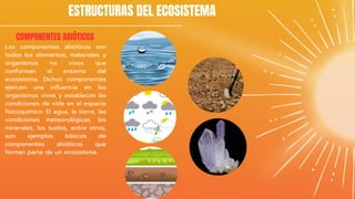 ESTRUCTURAS DEL ECOSISTEMA
COMPONENTES ABIÓTICOS
Los componentes abióticos son
todos los elementos, materiales y
organismos no vivos que
conforman el entorno del
ecosistema. Dichos componentes
ejercen una influencia en los
organismos vivos y establecen las
condiciones de vida en el espacio
fisicoquímico. El agua, la tierra, las
condiciones meteorológicas, los
minerales, los suelos, entre otros,
son ejemplos básicos de
componentes abióticos que
forman parte de un ecosistema.
 