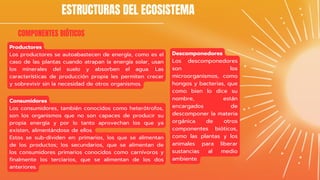 ESTRUCTURAS DEL ECOSISTEMA
COMPONENTES BIÓTICOS
Productores
Los productores se autoabastecen de energía, como es el
caso de las plantas cuando atrapan la energía solar, usan
los minerales del suelo y absorben el agua. Las
características de producción propia les permiten crecer
y sobrevivir sin la necesidad de otros organismos.
Consumidores
Los consumidores, también conocidos como heterótrofos,
son los organismos que no son capaces de producir su
propia energía y por lo tanto aprovechan los que ya
existen, alimentándose de ellos.
Estos se sub-dividen en: primarios, los que se alimentan
de los productos; los secundarios, que se alimentan de
los consumidores primarios conocidos como carnívoros y
finalmente los terciarios, que se alimentan de los dos
anteriores.
Descomponedores
Los descomponedores
son los
microorganismos, como
hongos y bacterias, que
como bien lo dice su
nombre, están
encargados de
descomponer la materia
orgánica de otros
componentes bióticos,
como las plantas y los
animales para liberar
sustancias al medio
ambiente.
 