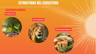 ESTRUCTURAS DEL ECOSISTEMA
COMPONENTES BIÓTICOS
Productores
Consumidores
Descomponedores
 