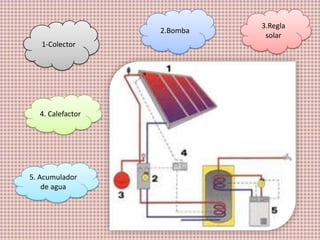 3.Regla
                  2.Bomba
                             solar
   1-Colector




  4. Calefactor




5. Acumulador
    de agua
 