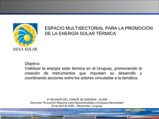 ESPACIO MULTISECTORIAL PARA LA PROMOCIÓN DE LA ENERGÍA SOLAR TÉRMICA 5ª REUNION DEL COMITÉ DE ENERGÍA – AUGM Seminario "Encuentro Regional sobre Biocombustibles y Energías Renovables" 23 de abril de 2009 – Montevideo, Uruguay   Objetivo:  Viabilizar la energía solar térmica en el Uruguay, promoviendo la creación de instrumentos que impulsen su desarrollo y coordinando acciones entre los actores vinculadas a la temática. 