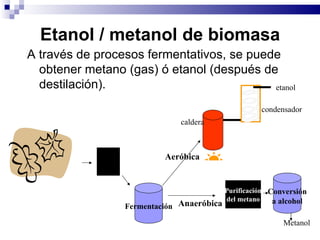 Etanol / metanol de biomasa A través de procesos fermentativos, se puede obtener metano (gas) ó etanol (después de destilación).  molido Fermentación Aeróbica Anaeróbica etanol condensador caldera Purificación del metano Conversión a alcohol Metanol 
