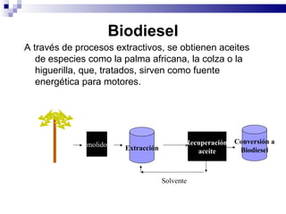 Biodiesel A través de procesos extractivos, se obtienen aceites de especies como la palma africana, la colza o la higuerilla, que, tratados, sirven como fuente energética para motores.  molido Extracción Recuperación  aceite Conversión a Biodiesel Solvente 