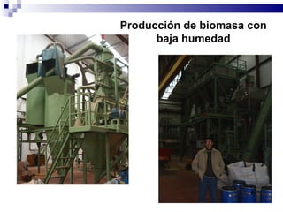 Producción de biomasa con baja humedad 