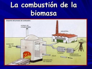 La combustión de la biomasa 