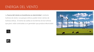 ENERGIA DEL VIENTO
La fuerza del viento se transforma en electricidad mediante
turbinas de viento. Los parques eólicos pueden tener cientos de
turbinas eólicas . El viento da vueltas en las láminas de las turbinas
que giran, están conectadas a un generador que produce electricidad.
 