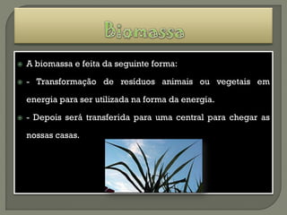    A biomassa e feita da seguinte forma:

   - Transformação de resíduos animais ou vegetais em

    energia para ser utilizada na forma da energia.

   - Depois será transferida para uma central para chegar as

    nossas casas.
 