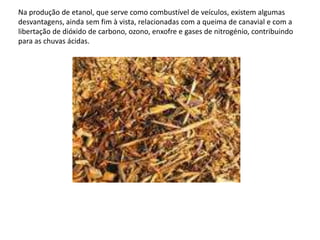 Na produção de etanol, que serve como combustível de veículos, existem algumas desvantagens, ainda sem fim à vista, relacionadas com a queima de canavial e com a libertação de dióxido de carbono, ozono, enxofre e gases de nitrogénio, contribuindo para as chuvas ácidas.