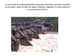 A construção de empreendimentos de grande dimensão, como por exemplo as barragens, pode resultar em alguns impactos negativos no meio ambiente e no ecossistema fluvial. 