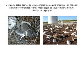 O impacto sobre as aves do local: principalmente pelo choque delas nas pás.Efeitos desconhecidos sobre a modificação de seus comportamentos habituais de migração.