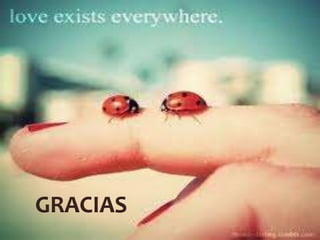GRACIAS

 
