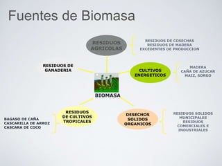 BIOMASA
RESIDUOS DE
GANADERIA
•RESIDUOS DE COSECHAS
•RESIDUOS DE MADERA
•EXCEDENTES DE PRODUCCION
RESIDUOS
AGRICOLAS
CULTIVOS
ENERGETICOS
•MADERA
•CAÑA DE AZUCAR
•MAIZ, SORGO
RESIDUOS
DE CULTIVOS
TROPICALES
•BAGASO DE CAÑA
•CASCARILLA DE ARROZ
•CASCARA DE COCO
DESECHOS
SOLIDOS
ORGANICOS
•RESIDUOS SOLIDOS
MUNICIPALES
•RESIDUOS
COMERCIALES E
INDUSTRIALES
Fuentes de Biomasa
 