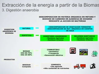 DESCOMPOSICION DE MATERIA ORGANICA EN METANO Y
BIOXIDO DE CARBONO EN AUSENCIA DE OXIGENO
MEDIANTE LA ACCION DE BACTERIAS
DIGESTION
ANAEROBIA DE
BIOMASA
NATURAL
SINTETICA
•DESCOMPOSICION DE VEGETACION TERRESTRE
•DESCOMPOSCION DE MAT. ORGANICA EN CUERPOS
DE AGUA
DIGESTORES ANAEROBIOS
•Residuos Agrícolas
•Residuos Urbanos
RELLENOS SANITARIOS
•Residuos Agrícolas
•Residuos Urbanos
PRODUCTOS
BIOGAS
CH4 50-75%
CO2 25-50%
RESIDUO
Composta
COMBUSTIBLE
•Doméstico
•Transporte
•Generación eléctrica
COMPOSTA
•Uso Agrícola
•Alto contenido de nutrientes
Extracción de la energía a partir de la Biomas
3. Digestión anaerobia
 