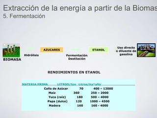 BIOMASA
Hidrólisis
AZUCARES
Fermentación
Destilación
ETANOL
•Uso directo
•o diluente de
gasolina
MATERIA PRIMA LITROS/ton Litros/ha*año
Caña de Azúcar 70 400 – 12000
Maíz 360 250 – 2000
Yuca (raíz) 180 500 – 4000
Papa (dulce) 120 1000 – 4500
Madera 160 160 - 4000
RENDIMIENTOS EN ETANOL
Extracción de la energía a partir de la Biomas
5. Fermentación
 