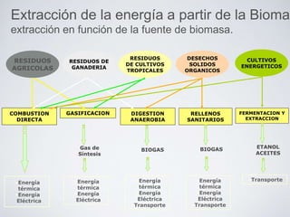 COMBUSTION
DIRECTA
GASIFICACION DIGESTION
ANAEROBIA
RELLENOS
SANITARIOS
FERMENTACION Y
EXTRACCION
RESIDUOS
AGRICOLAS
RESIDUOS DE
GANADERIA
RESIDUOS
DE CULTIVOS
TROPICALES
DESECHOS
SOLIDOS
ORGANICOS
CULTIVOS
ENERGETICOS
•Energía
térmica
•Energía
Eléctrica
•Energía
térmica
•Energía
Eléctrica
Gas de
Síntesis
•Energía
térmica
•Energía
Eléctrica
•Transporte
BIOGAS
•Energía
térmica
•Energía
Eléctrica
•Transporte
BIOGAS
•Transporte
ETANOL
ACEITES
Extracción de la energía a partir de la Biomas
extracción en función de la fuente de biomasa.
 