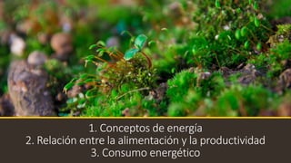 1. Conceptos de energía
2. Relación entre la alimentación y la productividad
3. Consumo energético
 