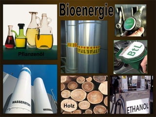 Bioenergie Pflanzenöl Holz 