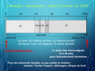 L’énergie « biomasses », dans le monde, en 2000
Liquid fuels Gaseous fuels
(a) Bois (b) (c) (d) (e) (f) Autres (déchets animaux…)
0 0,2 0,4 0,6 0,8 1Gtoe
Solid fuels
(a) (b) (c) (d) (e) (f)
0 0,2 0,4 0,6 0,8 1Gt
Liquid fuels Gaseous fuels
(a) Bois (b) (c) (d) (e) (f) Autres (déchets animaux…)
0 0,2 0,4 0,6 0,8 1Gtoe
Solid fuels
(a) (b) (c) (d) (e) (f)
0 0,2 0,4 0,6 0,8 1Gt
(a) bois, (b) charbon de bois, (c) résidus de bois,
(d) liqueur noire, (e) bagasse, (f) autres déchets
Les biocarburants… La piste des micro-algues
(2 à 40 μm),
pour biocarburants terrestres
Pour les carburants liquides, ne pas oublier le charbon :
réaction Fischer-Tropsch (Allemagne, Afrique du Sud)
 