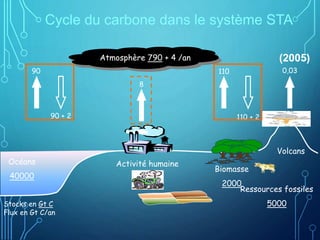 Atmosphère 790 + 4 /an
Océans
40000
Activité humaine
Biomasse
2000
Volcans
90
90 + 2
8
110
110 + 2
0,03
Ressources fossiles
5000
Stocks en Gt C
Flux en Gt C/an
Cycle du carbone dans le système STA
(2005)
 