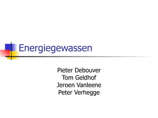Energiegewassen Pieter Debouver Tom Geldhof Jeroen Vanleene Peter Verhegge 
