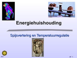 Energiehuishouding Spijsvertering en Temperatuurregulatie BvD 