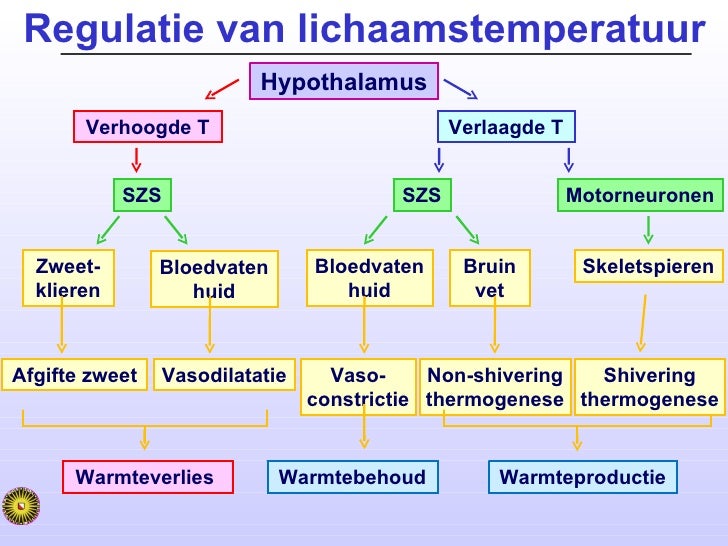 Energiehuishouding