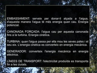 EMBASSAMENT: serveix per donar-li alçada a l'aigua, d'aquesta manera l'aigua té més energia quan cau. Energia potencial. CANONADA FORÇADA: l'aigua cau per aquesta canonada fins a la turbina. Energia cinètica. TURBINA: quan l'aigua passa per ella mou les seves pales i el seu eix. L'energia cinètica es converteix en energia mecànica. GENERADOR: converteix l'energia mecànica en energia elèctrica. LÍNEES DE TRANSPORT: l'electricitat produïda es transporta fin a les ciutats. 