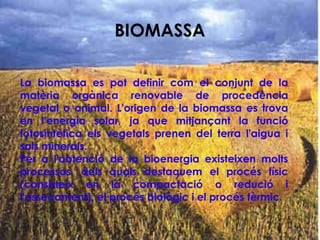 BIOMASSA
La biomassa es pot definir com el conjunt de la
matèria orgànica renovable de procedència
vegetal o animal. L'origen de la biomassa es trova
en l'energia solar, ja que mitjançant la funció
fotosintètica els vegetals prenen del terra l'aigua i
sals minerals.
Per a l'obtenció de la bioenergia existeixen molts
processos, dels quals destaquem el procés físic
(consisteix en la compactació o redució i
l'assecament), el procés biològic i el procés tèrmic.
 