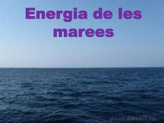 Energia de les
   marees
 