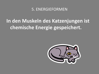 5. ENERGIEFORMEN
In den Muskeln des Katzenjungen ist
chemische Energie gespeichert.
 