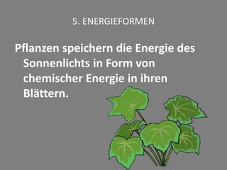 5. ENERGIEFORMEN
Pflanzen speichern die Energie des
Sonnenlichts in Form von
chemischer Energie in ihren
Blättern.
 