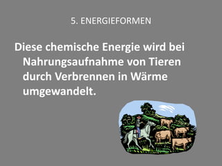 5. ENERGIEFORMEN
Diese chemische Energie wird bei
Nahrungsaufnahme von Tieren
durch Verbrennen in Wärme
umgewandelt.
 