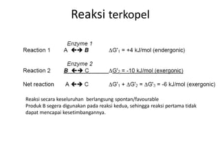 Reaksi terkopel
Reaksi secara keseluruhan berlangsung spontan/favourable
Produk B segera digunakan pada reaksi kedua, sehingga reaksi pertama tidak
dapat mencapai kesetimbangannya.
 