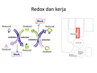 Redox dan kerja
 
