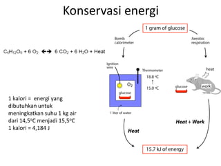 Konservasi energi
1 kalori = energi yang
dibutuhkan untuk
meningkatkan suhu 1 kg air
dari 14,5oC menjadi 15,5oC
1 kalori = 4,184 J
 