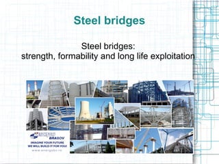 Steel bridges
Steel bridges:
strength, formability and long life exploitation

 